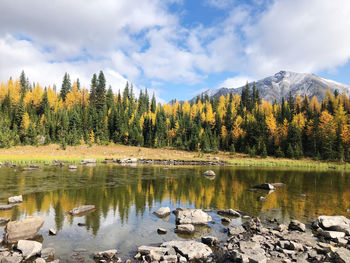 Scenic view of lake by trees against sky