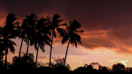 Silhouette palm trees against dramatic sky during sunset