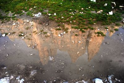 High angle view of puddle on road