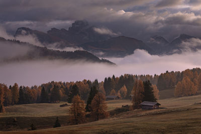 Panoramic shot of trees on landscape against sky