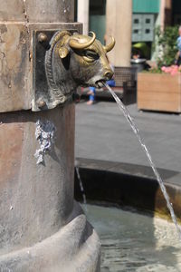 Close-up of a sculpture of fountain