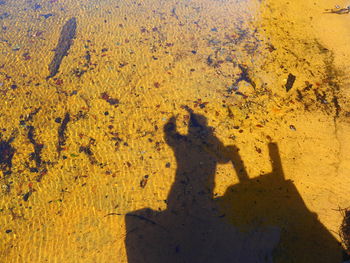 Shadow of person on yellow wall
