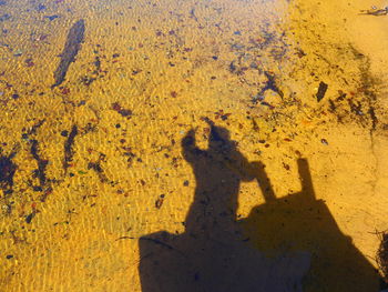 Shadow of person on yellow wall