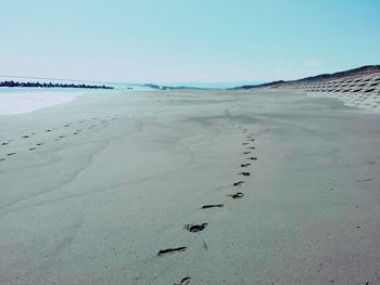 Scenic view of sandy beach