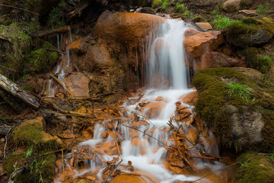 Scenic view of waterfall in forest