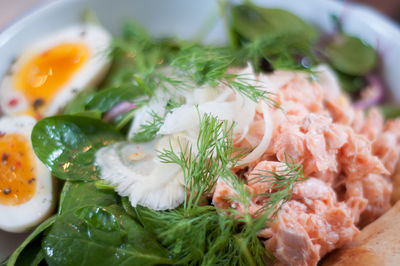 Close-up of food served in plate