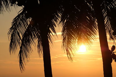 Low angle view of palm trees against sky during sunset