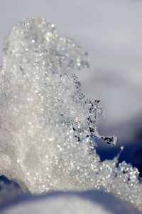 Close-up of frozen ice