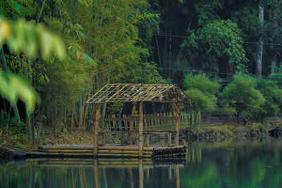 Scenic view of lake by trees in forest