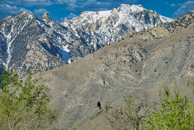 Scenic view of rocky mountains