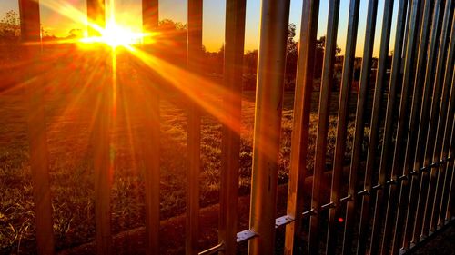 Close-up of sunlight at sunset