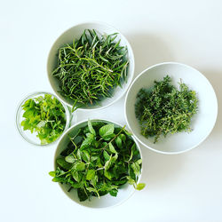 High angle view of plants against white background