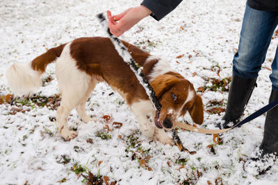 Person with dog on snow covered field 