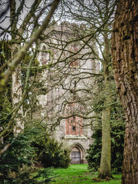 Trees in front of building