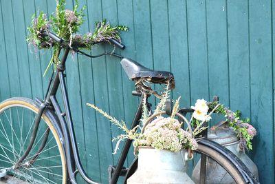 Close-up of plants against bicycle