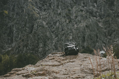 Close-up of bag on rock