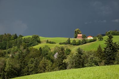 Scenic view of trees and building against sky