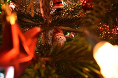 Close-up of illuminated christmas tree