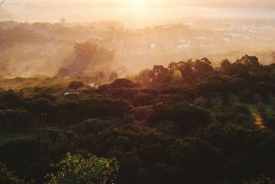 Scenic view of landscape against sky at sunset