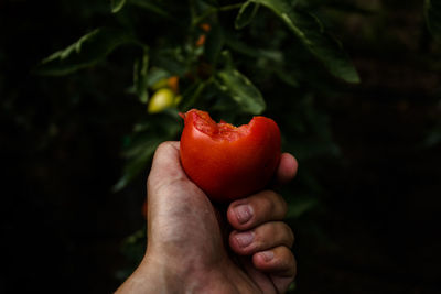 Close-up of hand holding strawberry