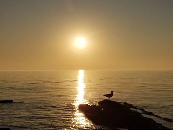 Silhouette birds on sea against sky during sunset