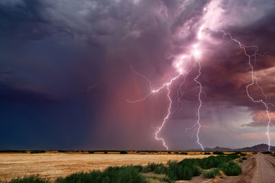 Dramatic lightning bolts strike from a monsoon thunderstorm at sunset near tucson, arizona. 