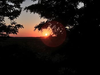 Silhouette trees against sky during sunset