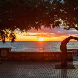 Silhouette tree by sea against sky during sunset