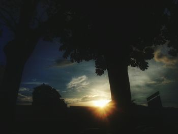 Low angle view of silhouette trees against sky at sunset