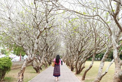 Rear view of woman walking on footpath amidst plants