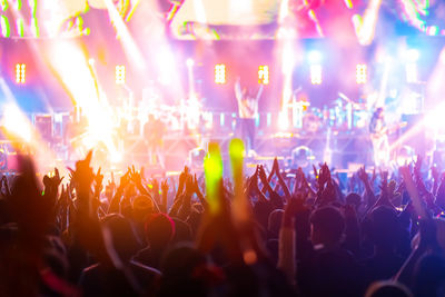 Crowd enjoying at music concert