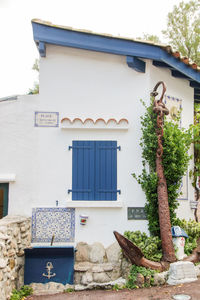 Potted plants outside building