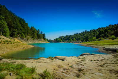 Scenic view of sea and trees against clear blue sky