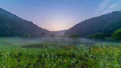 Scenic view of field and mountains against sky