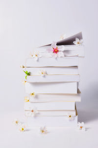 Close-up of white flowers on table