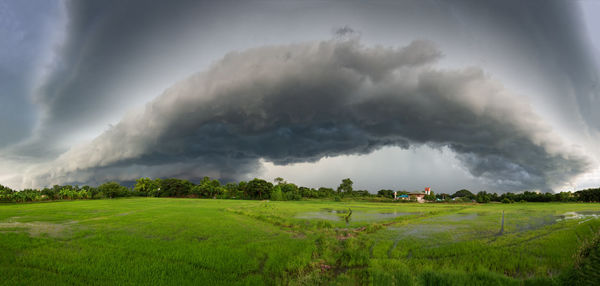 Scenic view of field against sky