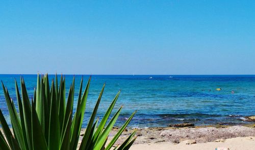 Scenic view of calm sea against clear sky