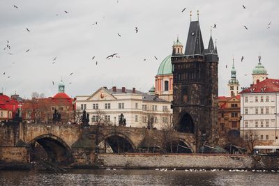 Birds flying over vltava river in city against sky