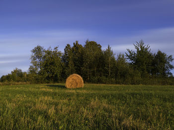 Hay bales on field against sky