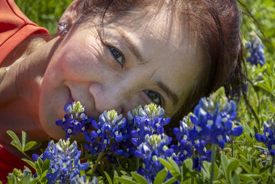 Close-up portrait of purple flowering plants