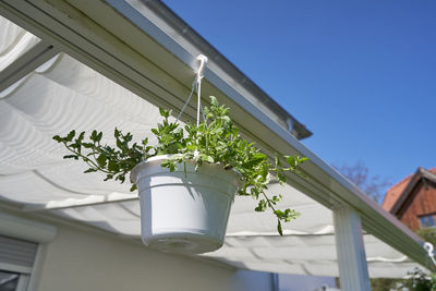 Suspended white flower pot in the home garden