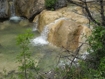 Scenic view of waterfall in forest