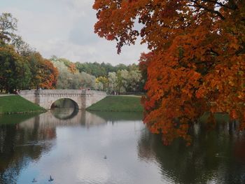 Arch bridge over river during autumn