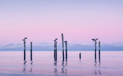 Scenic view of sea against clear sky with birds