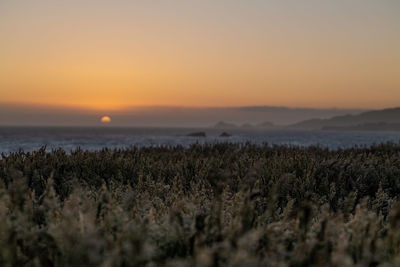 Scenic view of field against sky during sunset