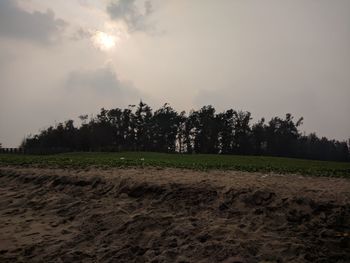 Trees on field against sky during sunset