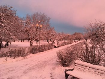 snow