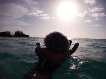 Close-up of hand holding sea urchin against sky