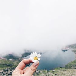 Close-up of hand holding flower against the sky