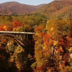 Bridge over a river